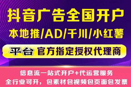 SEO百度推广策略：成功案例解析